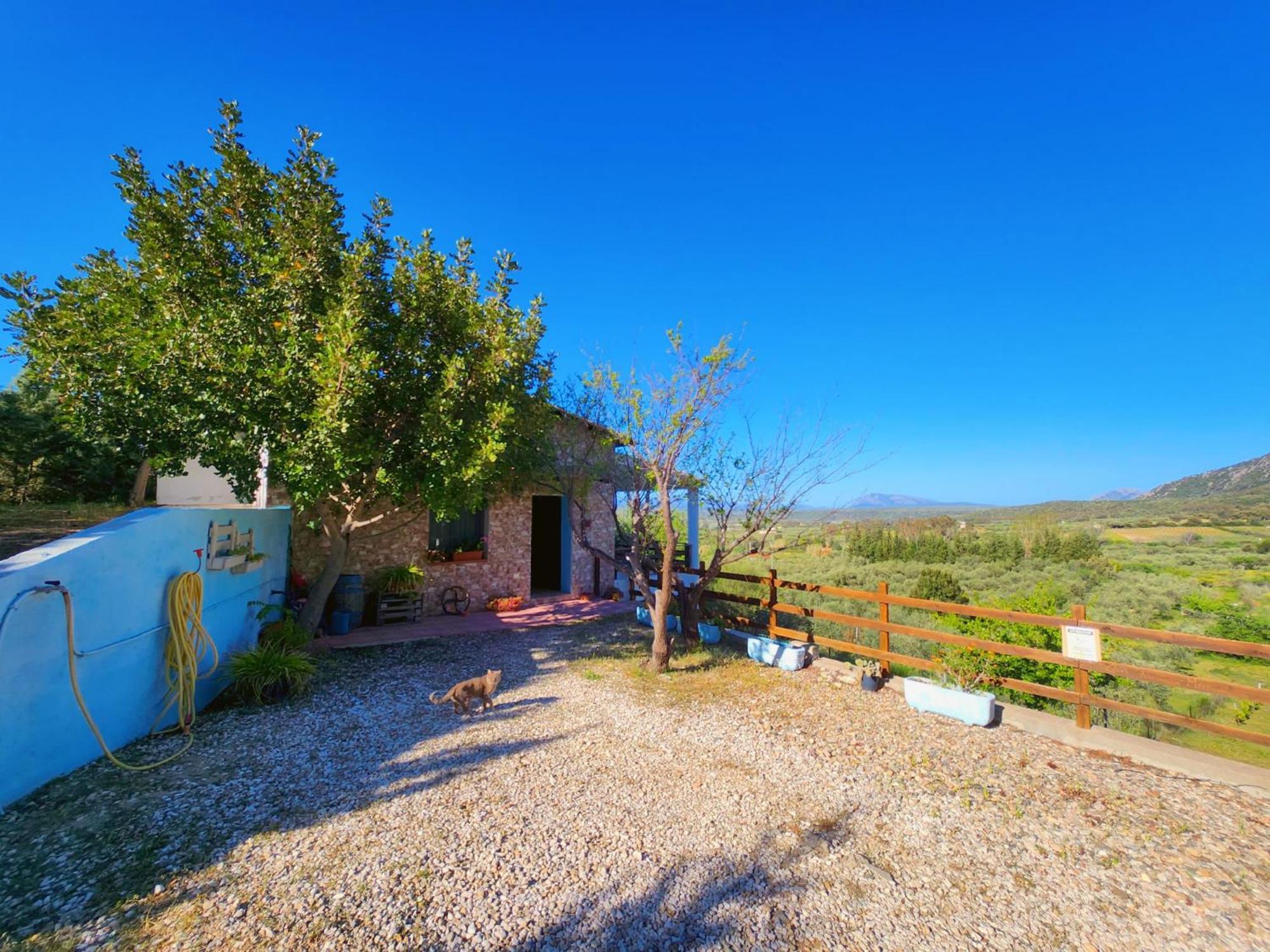 Panoramic House Villa Oliena Exterior foto